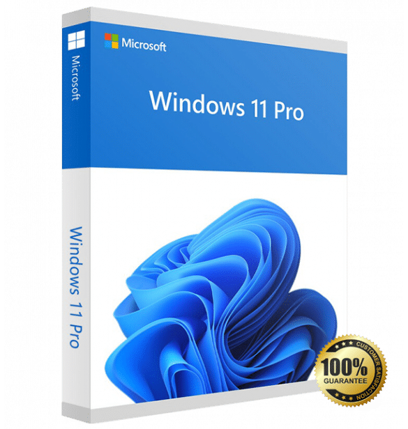Windows 11 Professional 64 bit